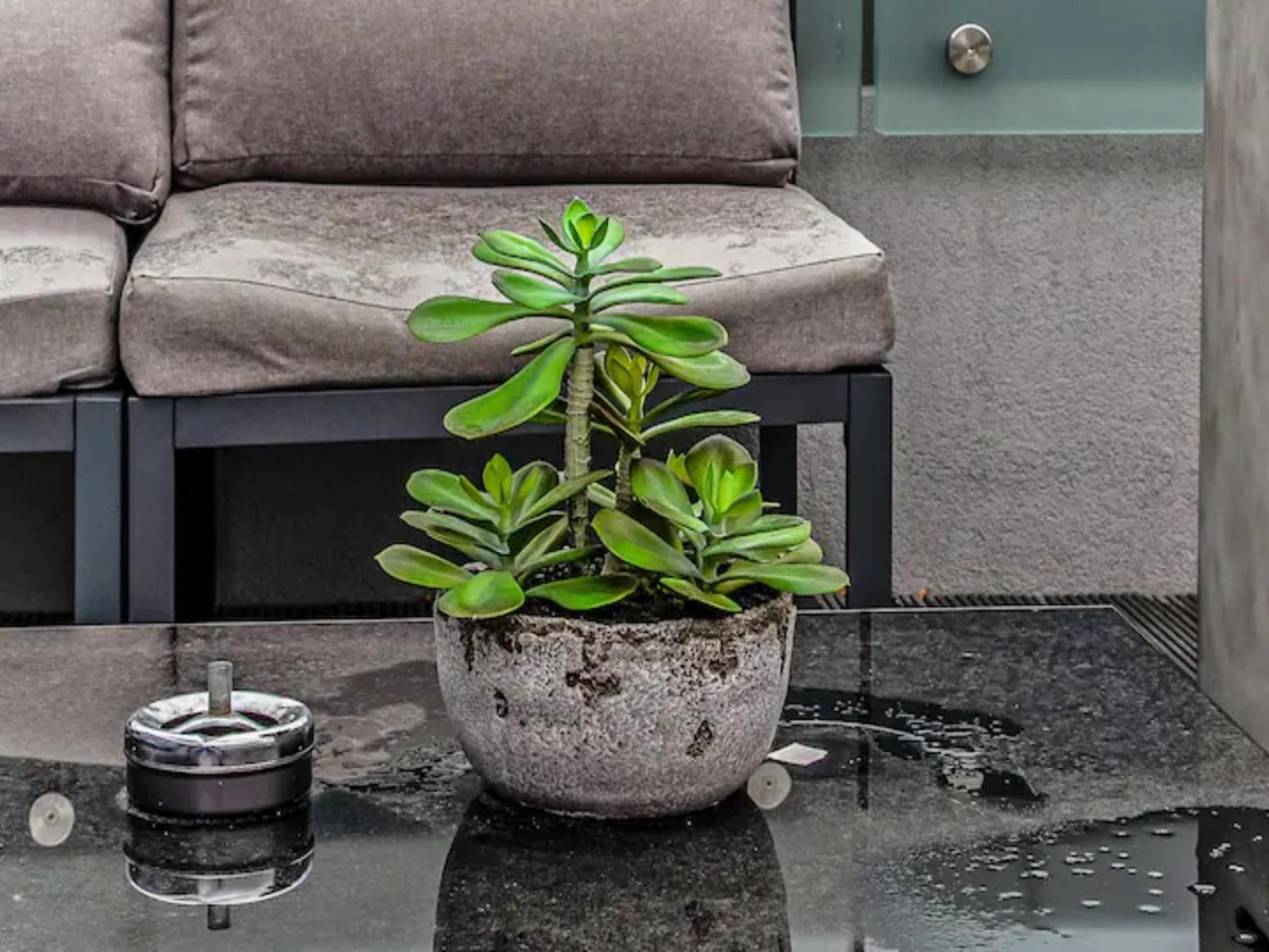 Pass The Keys Penthouse Oasis In Trendy Fulham Appartement Londen Buitenkant foto